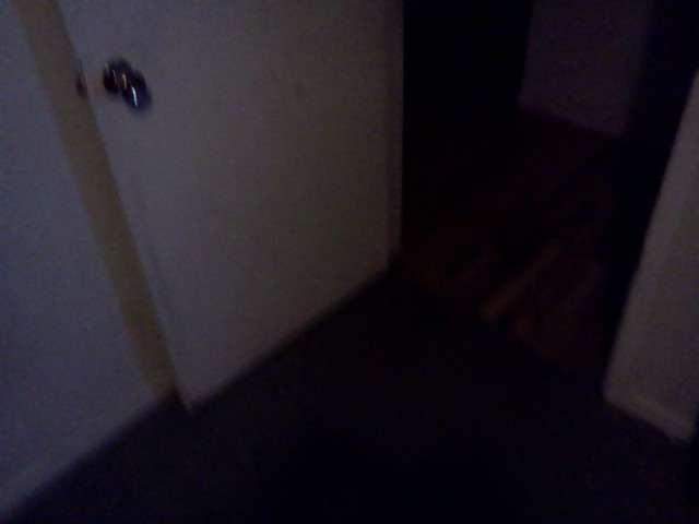 Sup Sup Sup
 #11527402