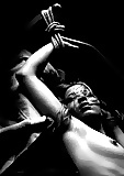 Black & Whites II #8902488