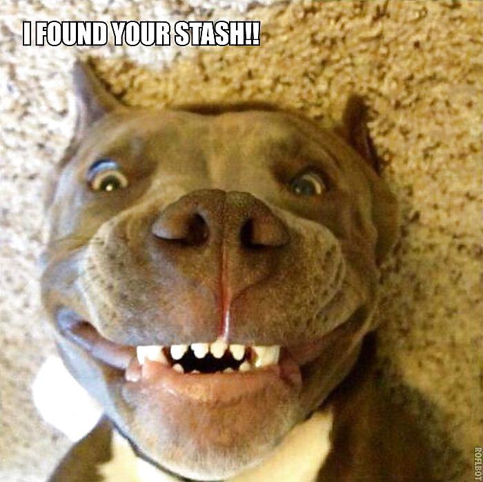 Divertidas y bonitas fotos 
 #18733186