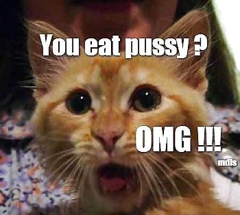 Divertidas y bonitas fotos 
 #18733199