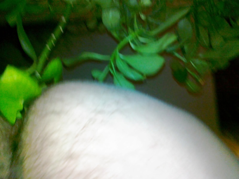 My coock and my ass #3692958