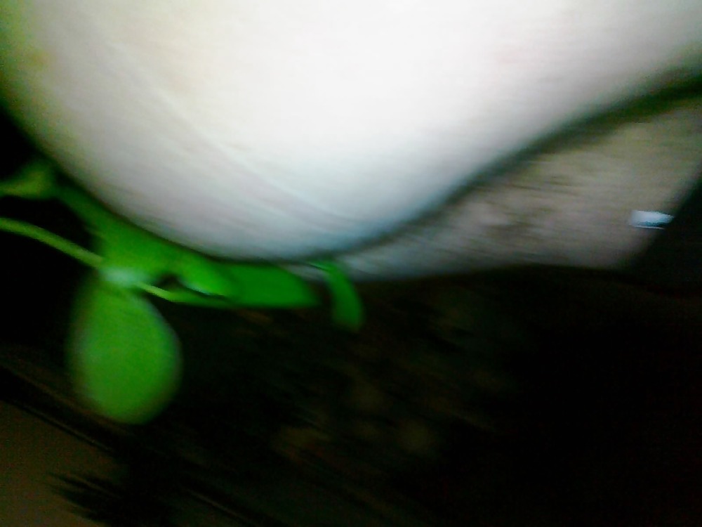 My coock and my ass #3693000