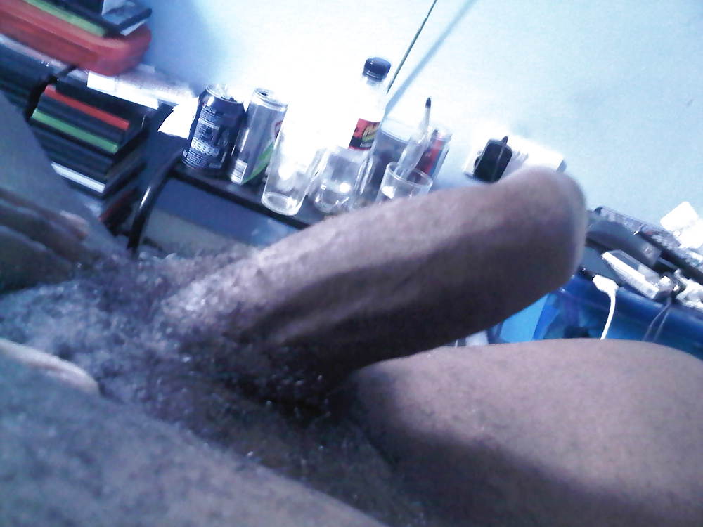 厚い獣
 #20774849