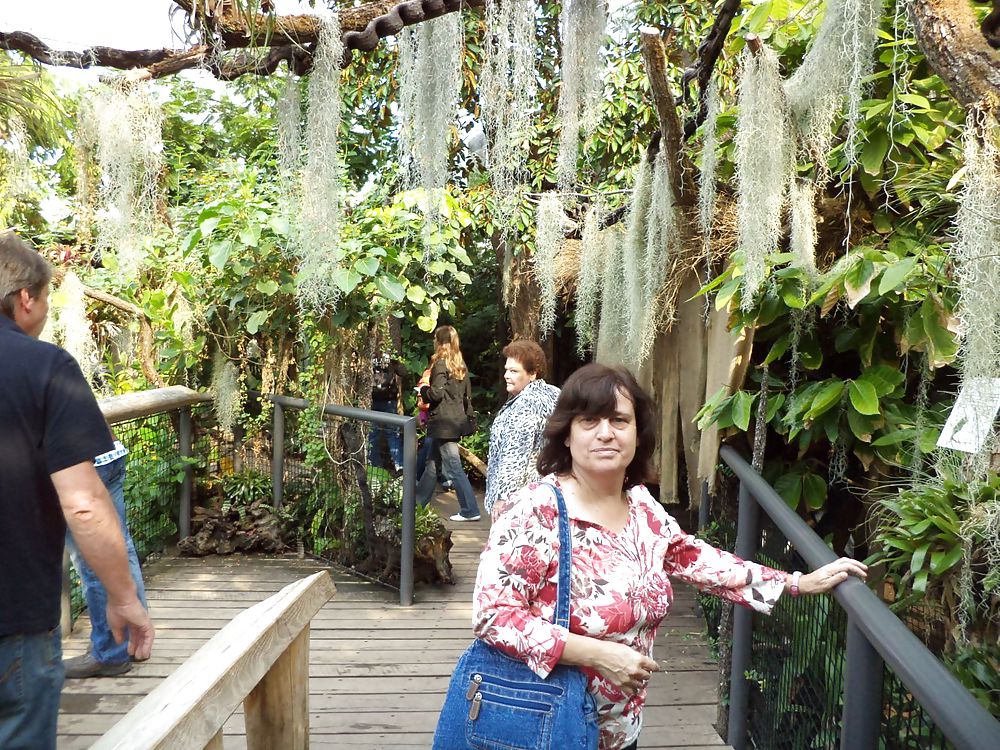 私のママ
 #17227826