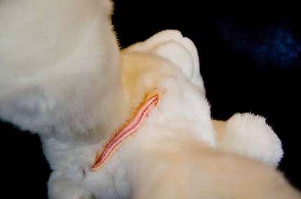 Sex and smile #8304994