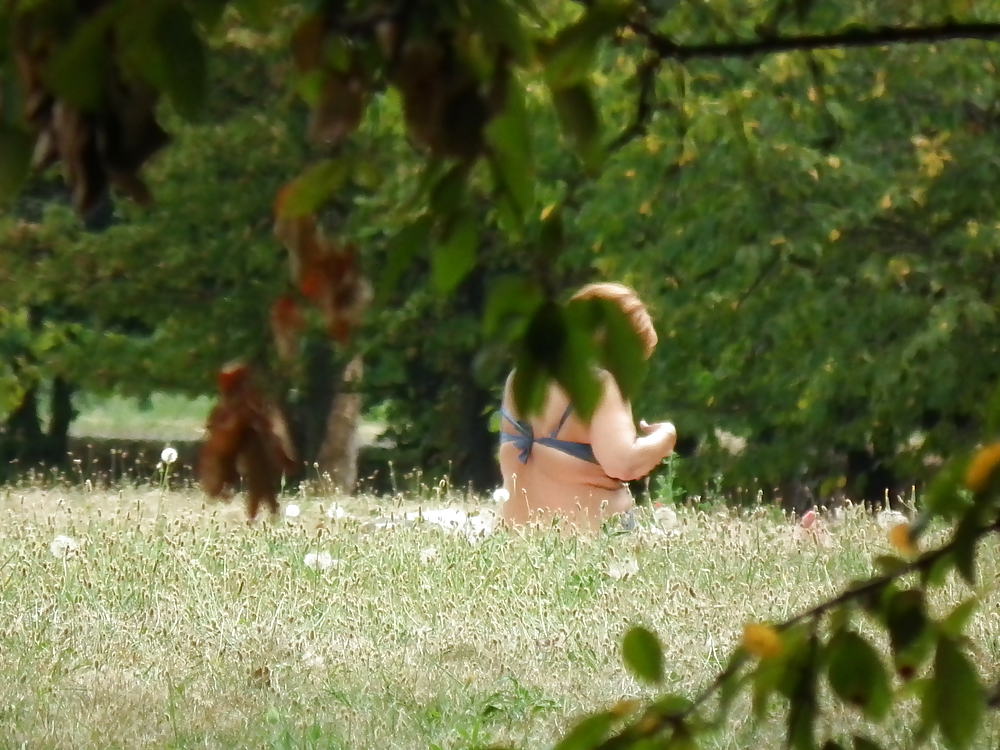 Grandmothet to sunbathe in the park II. #15055565