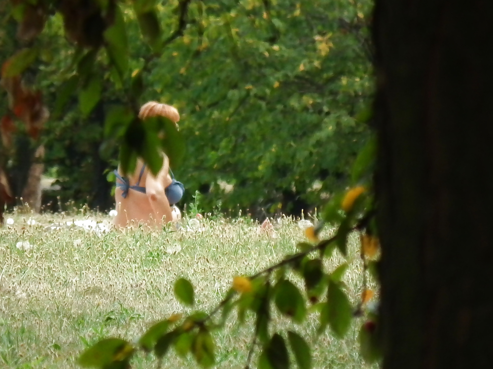 Grandmothet to sunbathe in the park II. #15055589