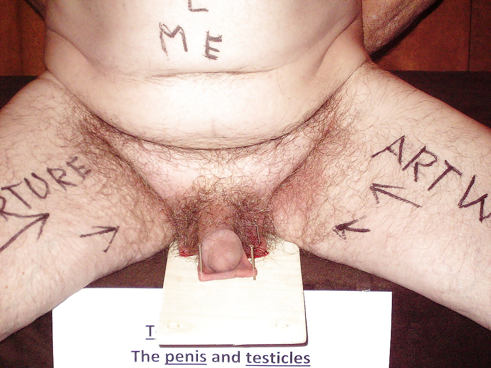 Naked male slave for rent.  #21135713