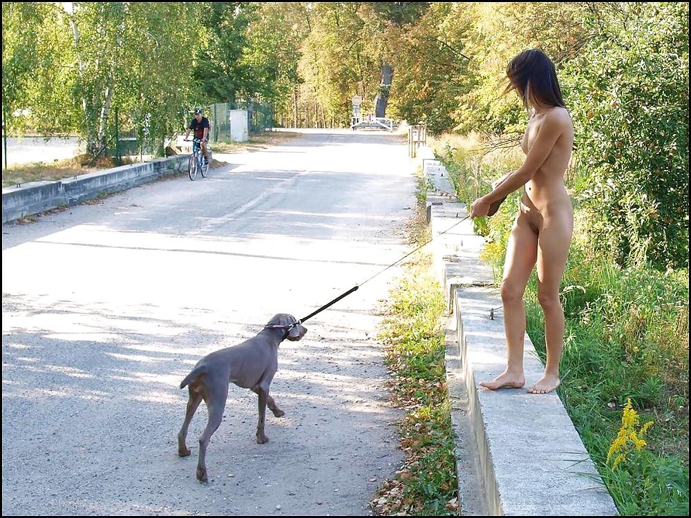 Nude dog walker #2827341