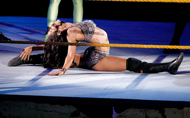 Wrestling Bébé AJ Lee #11544663