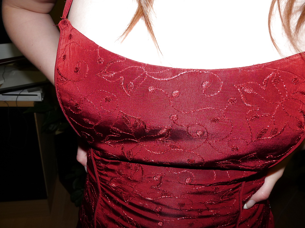 Wifes 5 silk satin shiny corsagen corsets #17611628