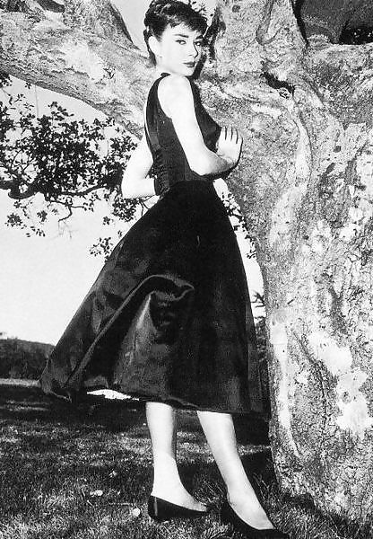Audrey Hepburn - Einige Andere Klassische Schönheiten Und Schauspielerinnen. #333529