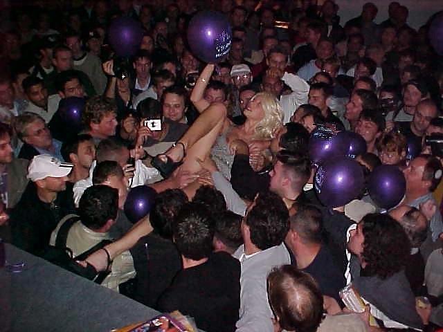 Violett alive #3503249