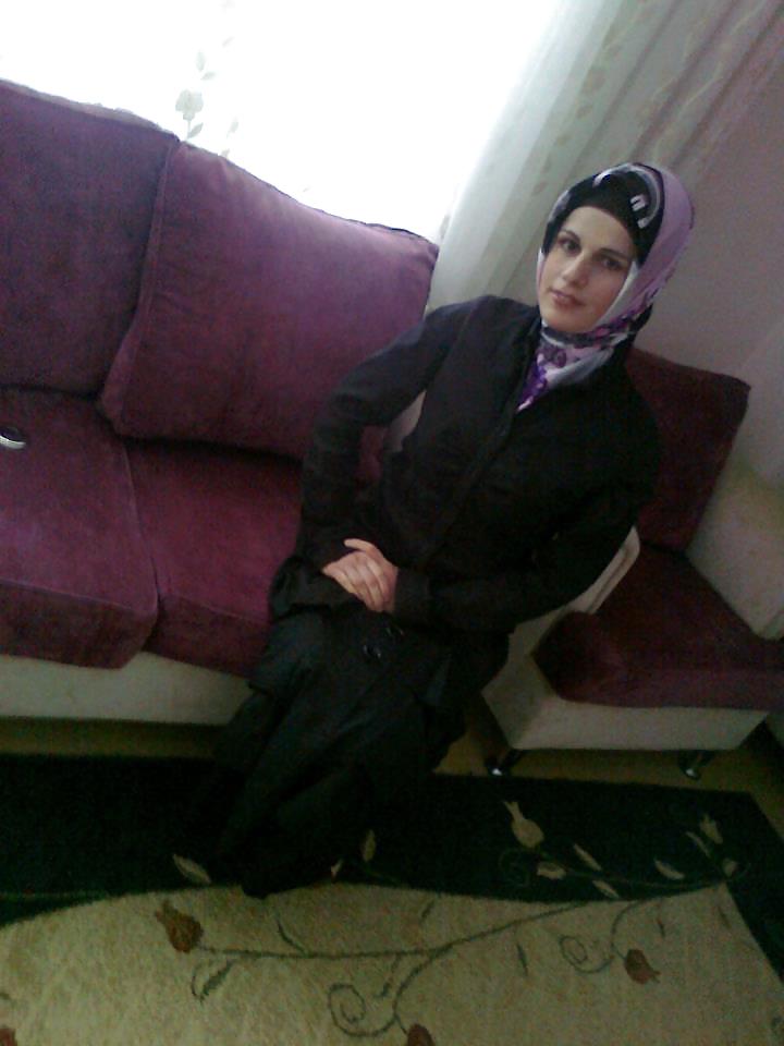 Turco árabe turbanli hijab 1
 #13118102