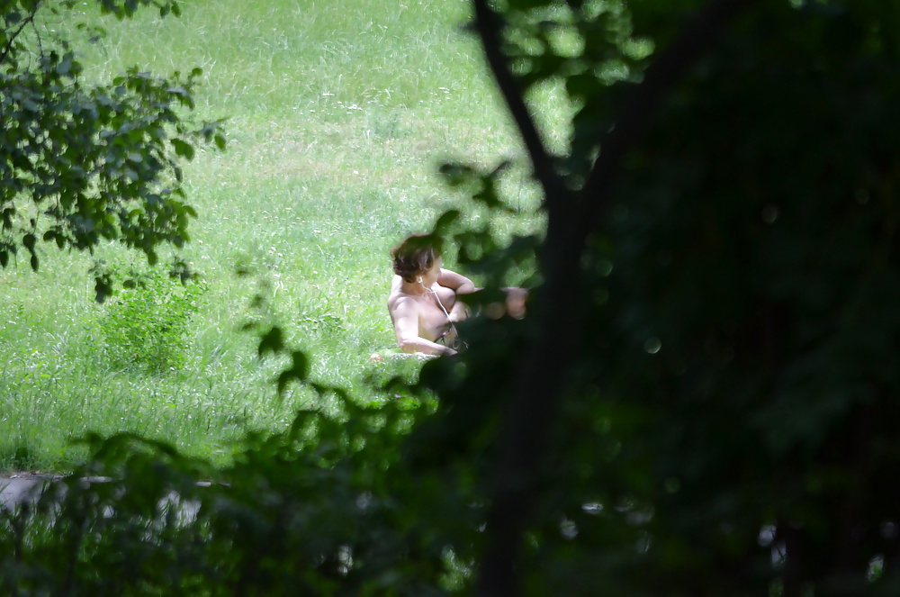 Sunbathing in the park #17617408