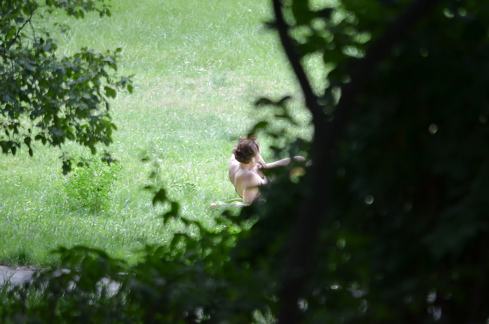 Sunbathing in the park #17617413