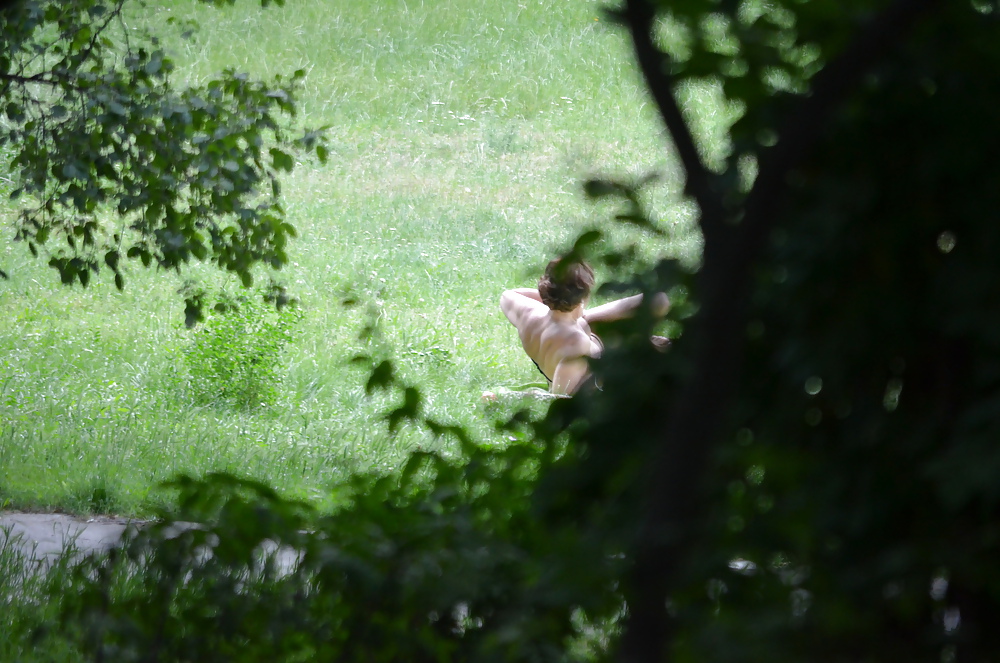 Sunbathing in the park #17617419