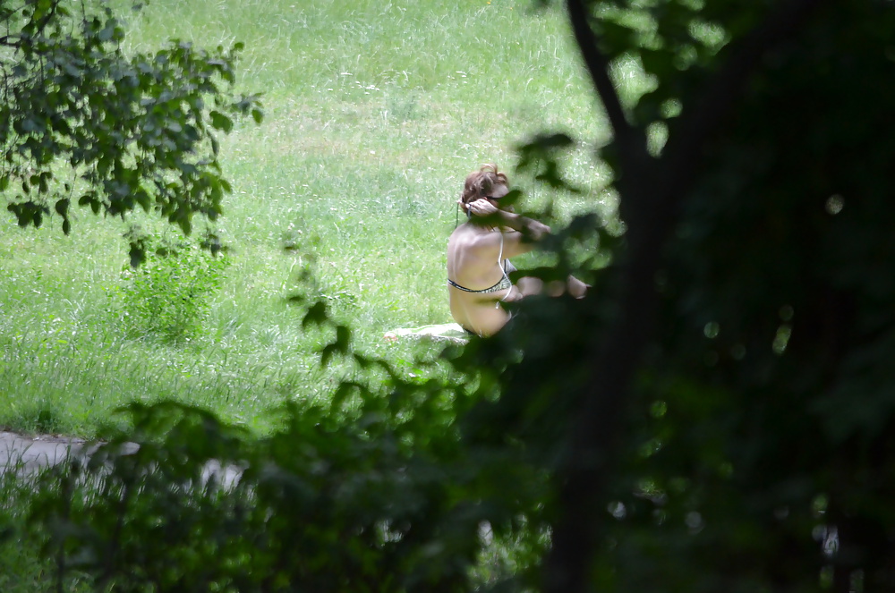 Sunbathing in the park #17617435