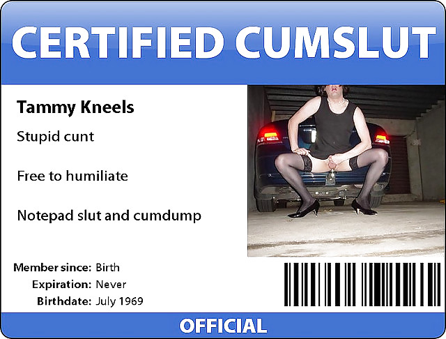 Sissy - Tammy Kneels #1089408