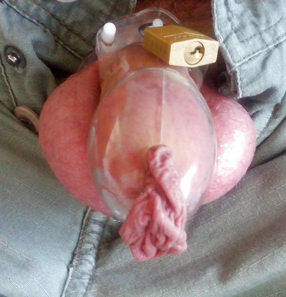Chastity with foreskin out #9658085