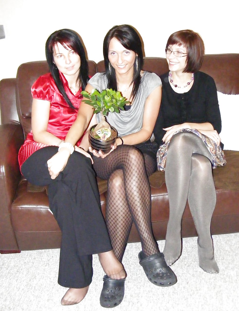 Mezcla cándida
 #11463883