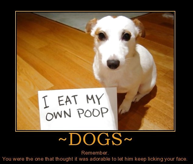 FUNNY #3622991