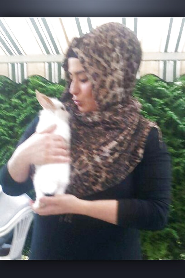 ムニテングサザエ
 #13182288