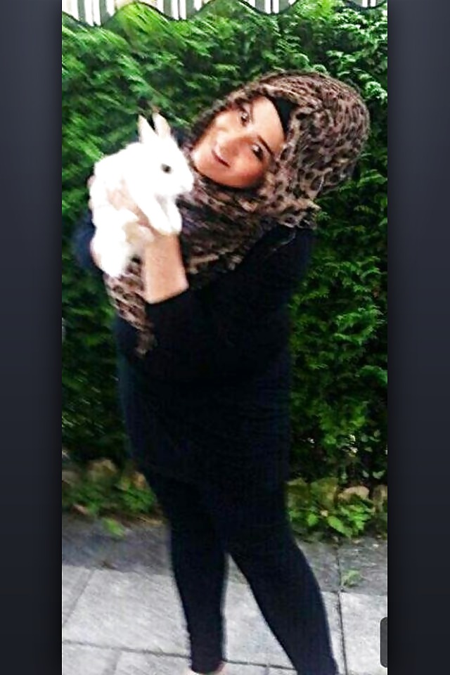 ムニテングサザエ
 #13182359