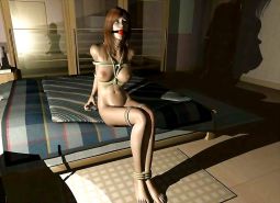 BDSM 3D