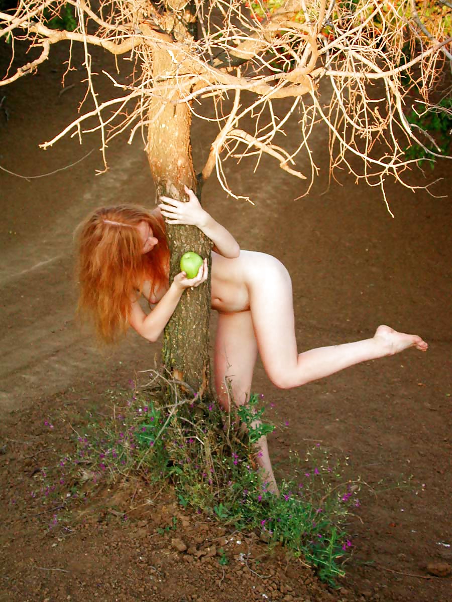 Fruta prohibida
 #3202290