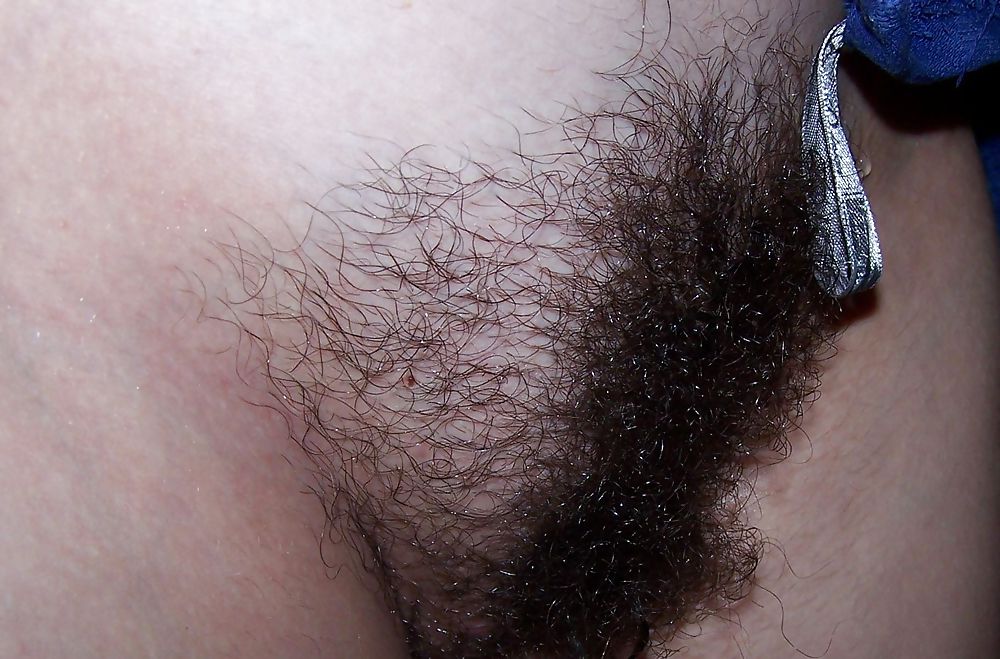 Coño peludo 1
 #18978428