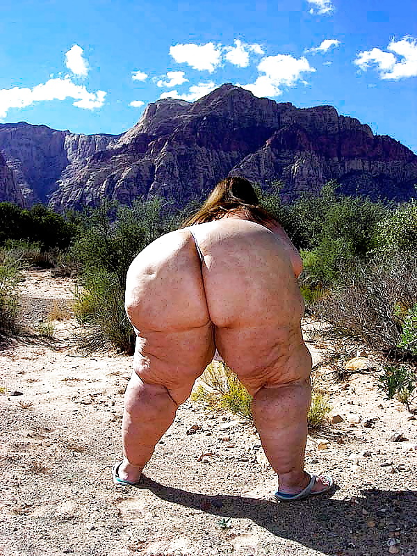 その大きさ
 #7063841