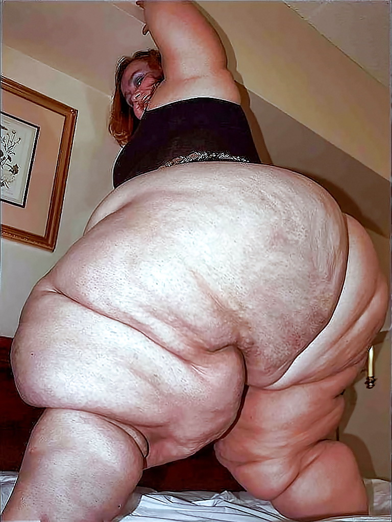 その大きさ
 #7063866