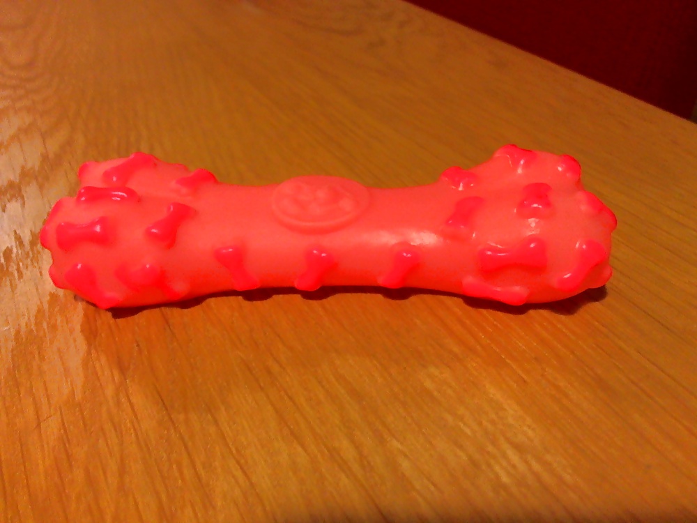 Puppy's new Toy  #22798825