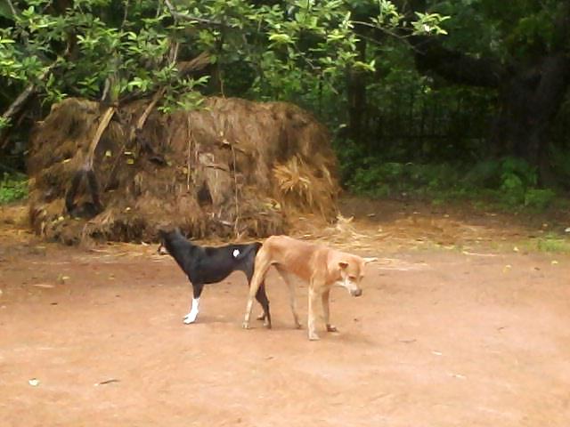 その他
 #12804304