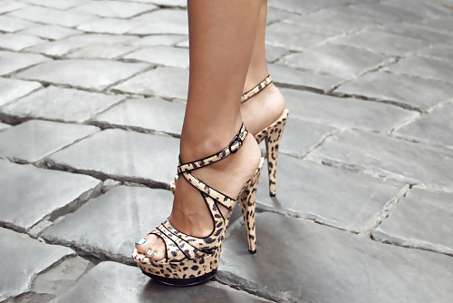 Heels, Heels, Heels! #8708649