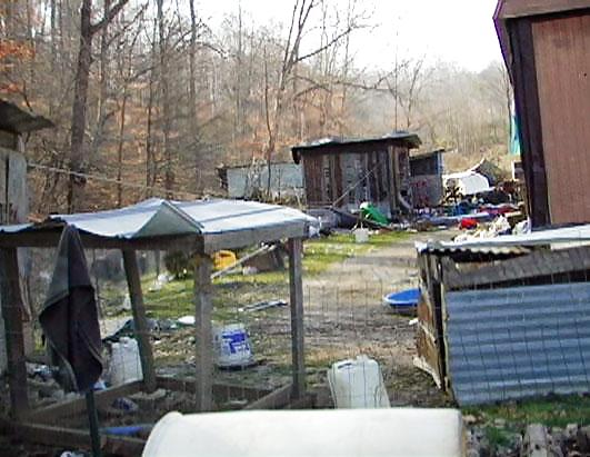 Where I'm from originally  #8910126