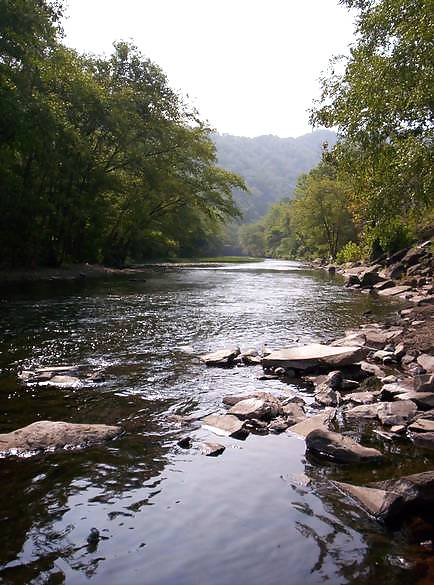 Where I'm from originally  #8910131