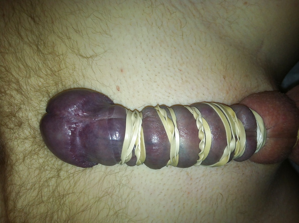 Cock banding #16541050