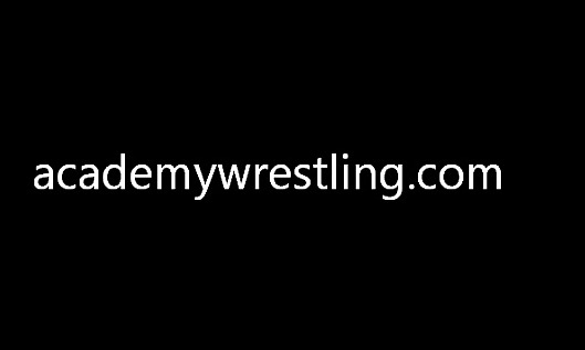 Wrestling-porno #21545365