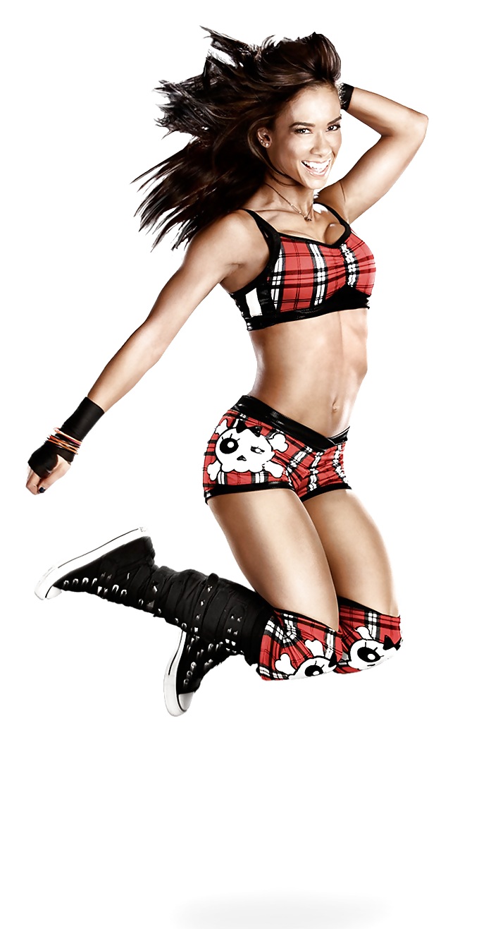 My AJ Lee Folder #22100476