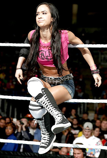 My AJ Lee Folder #22100511