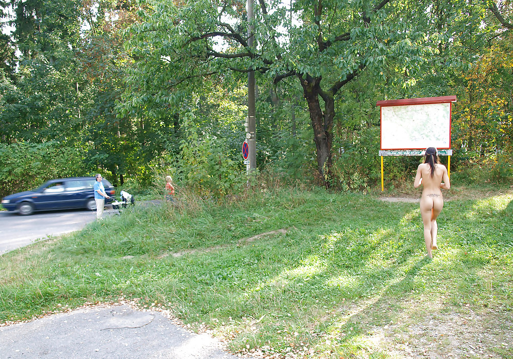 Commute tour #9456105