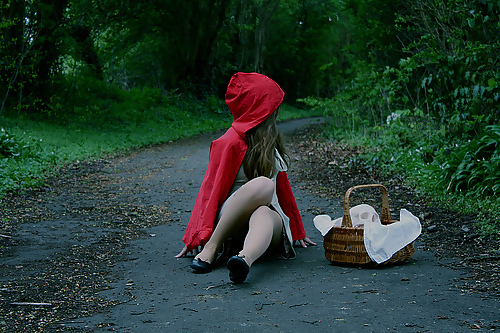 Little Red Riding Hood #10717492