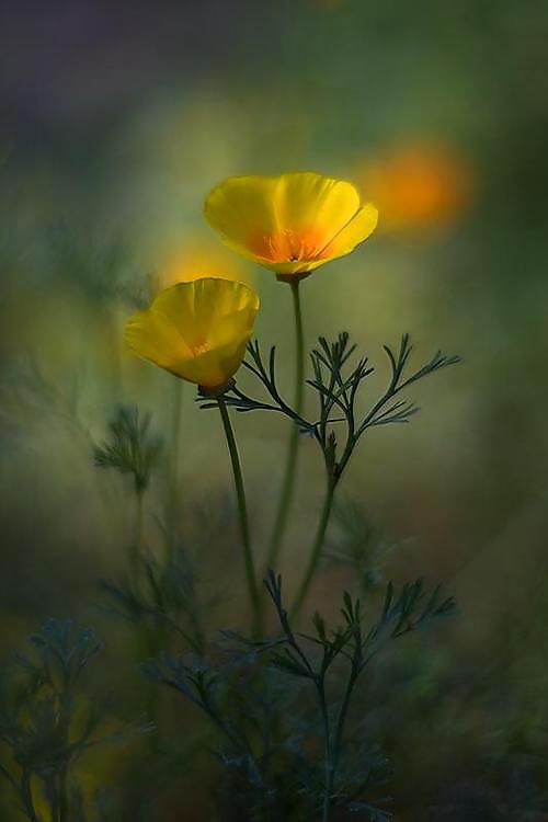 Gracias a ti
 #21462506