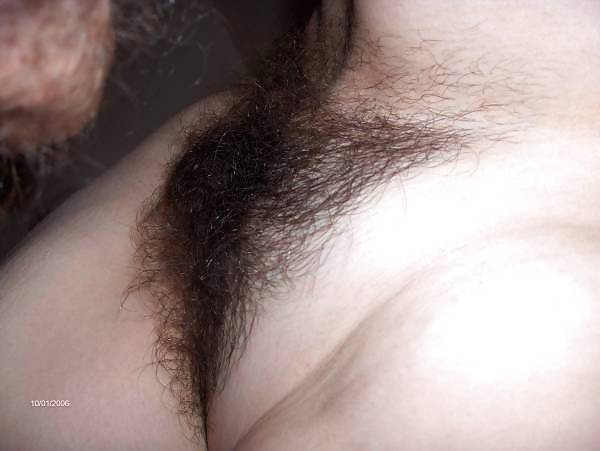Hairy bush #4756222