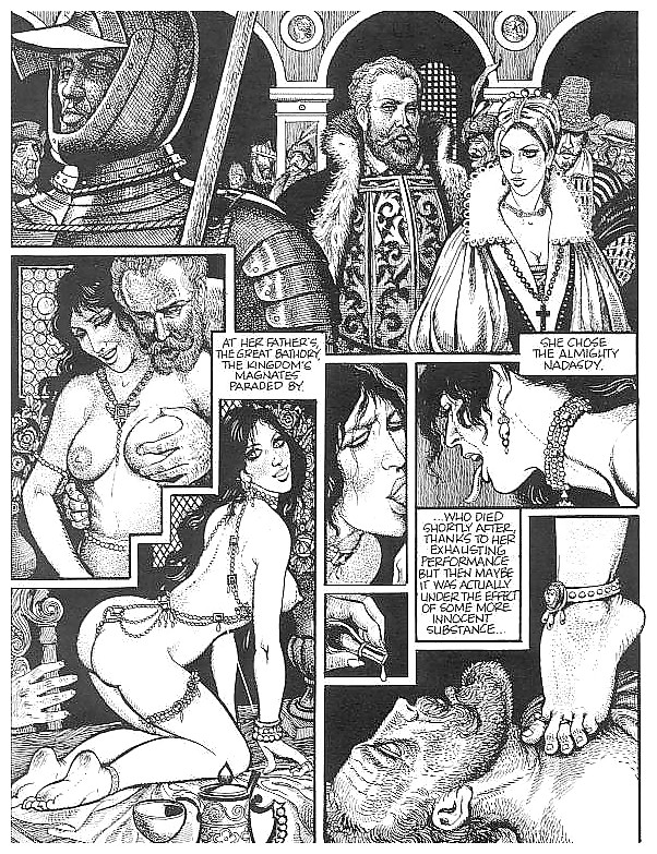 Erotic Comic Art 26 - The Countess in Red  #19632621