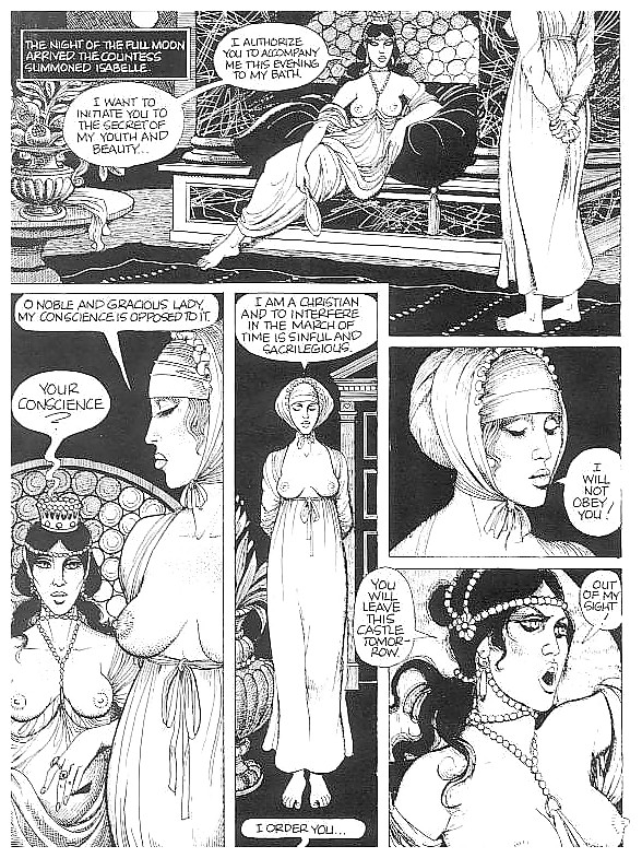 Erotische Comic-Kunst 26 - Die Gräfin In Rot #19632714
