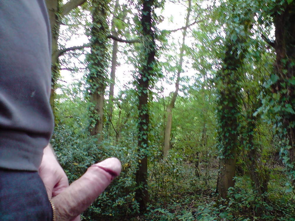 Me wanking in the woods #24208