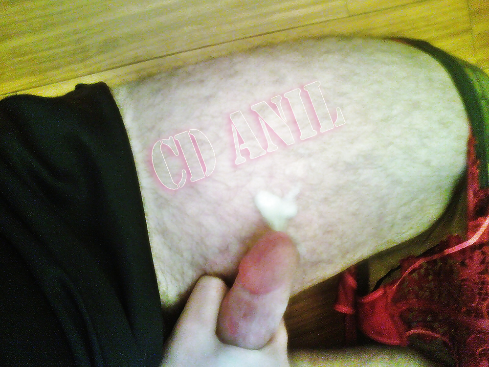 Cdanil #3588480